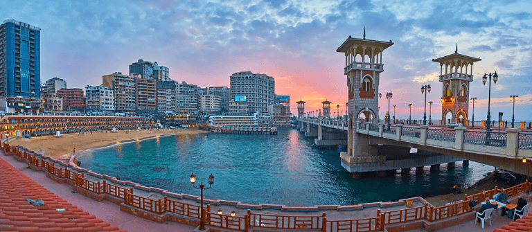 Alexandria Blog
