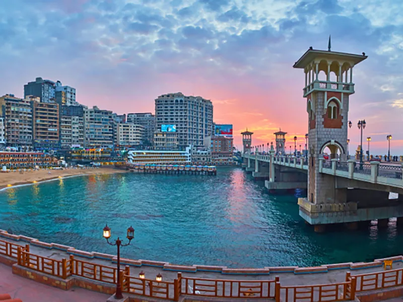Alexandria Blog