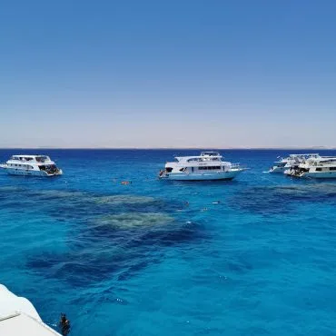 Red Sea