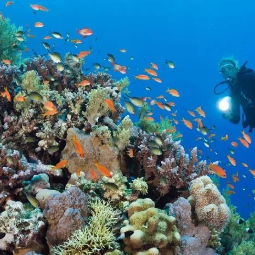 scuba diving in Egypt, diving spots in Egypt
