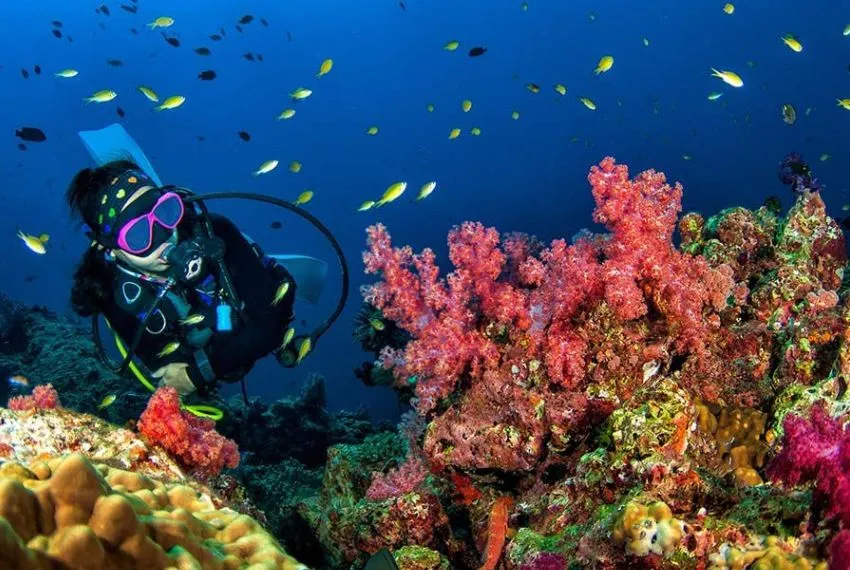 scuba diving in Egypt