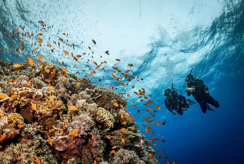 scuba diving in Egypt, diving spots in Egypt