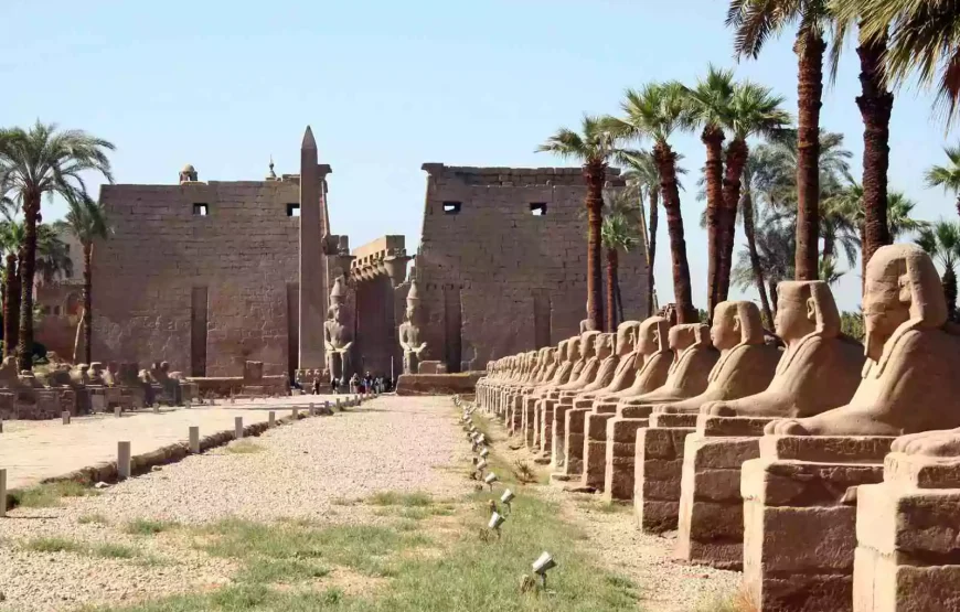 5 Days Cairo And Luxor Tour Package by Flight