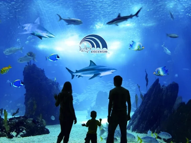 Grand Aquarium Museum in Hurghada