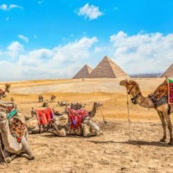 pyramids-and-camels