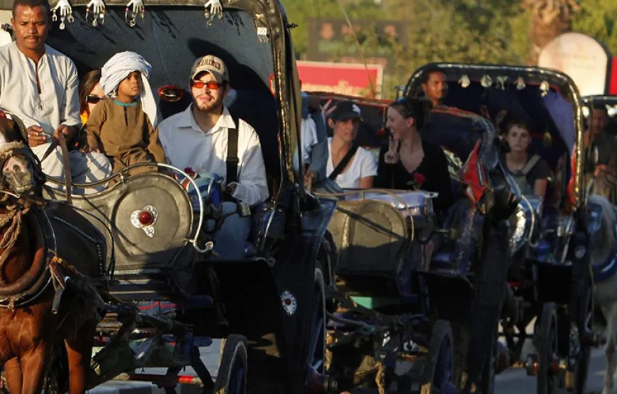 Luxor City Tour by Horse Carriage