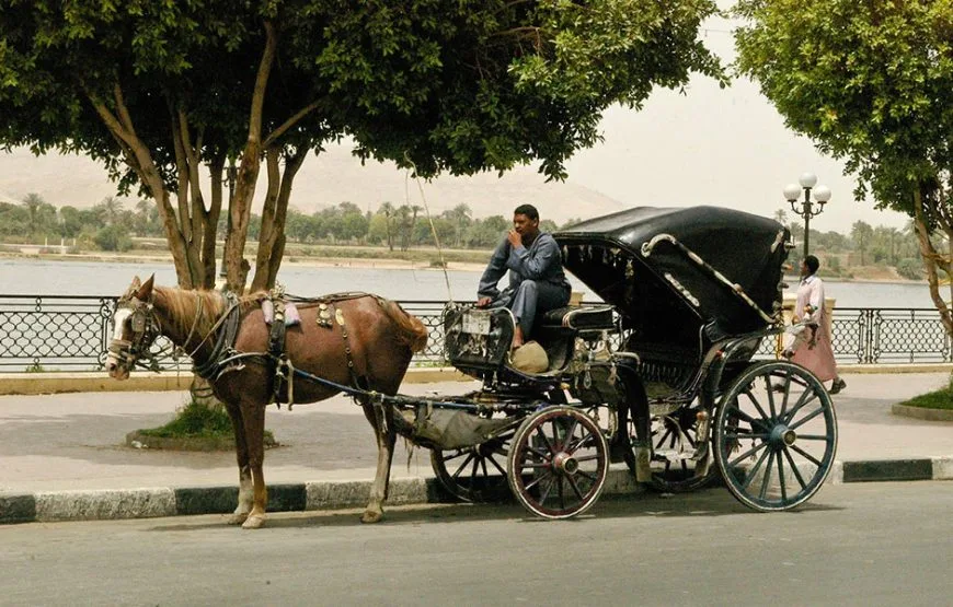 Luxor City Tour by Horse Carriage