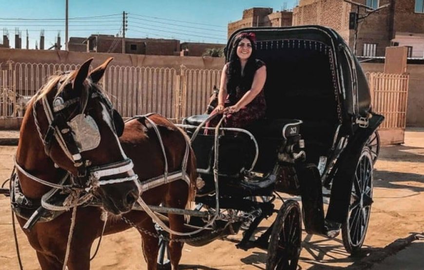 Luxor City Tour by Horse Carriage