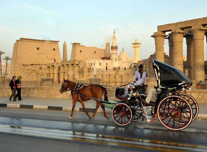 Luxor City Tour by Horse Carriage