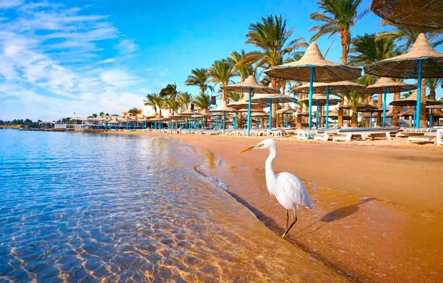 One Day Trip to Red Sea from Luxor