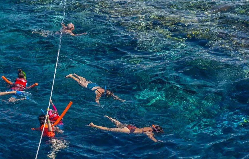 One Day Trip to Red Sea from Luxor