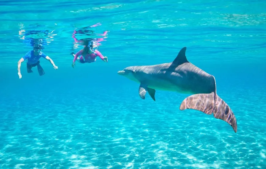 One Day Trip to Red Sea from Luxor