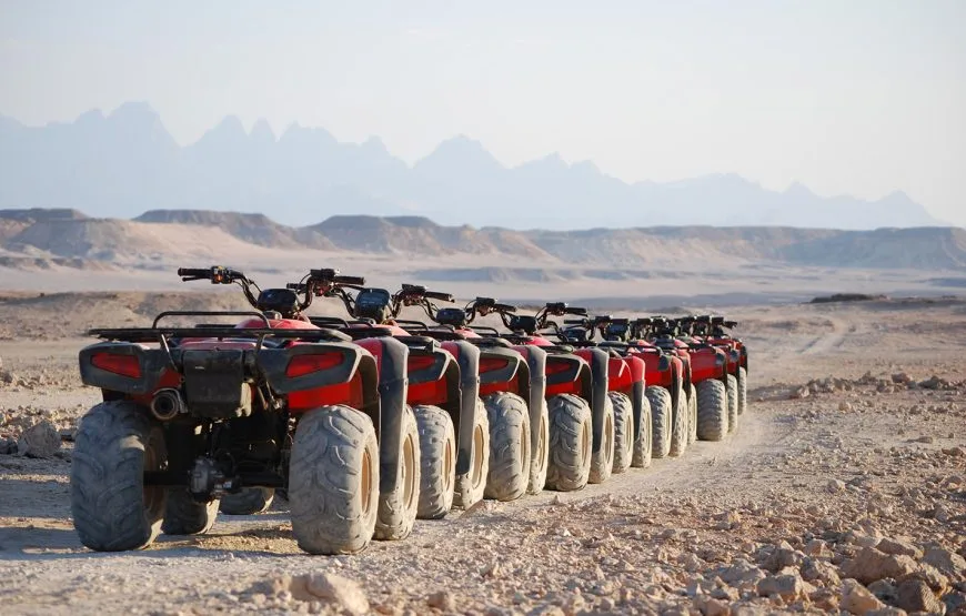 SAND BUGGY AND CAMEL RIDE DESERT SAFARI