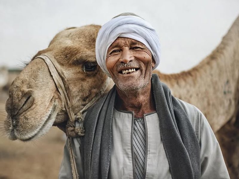 Tour to Camel Market of Birqash