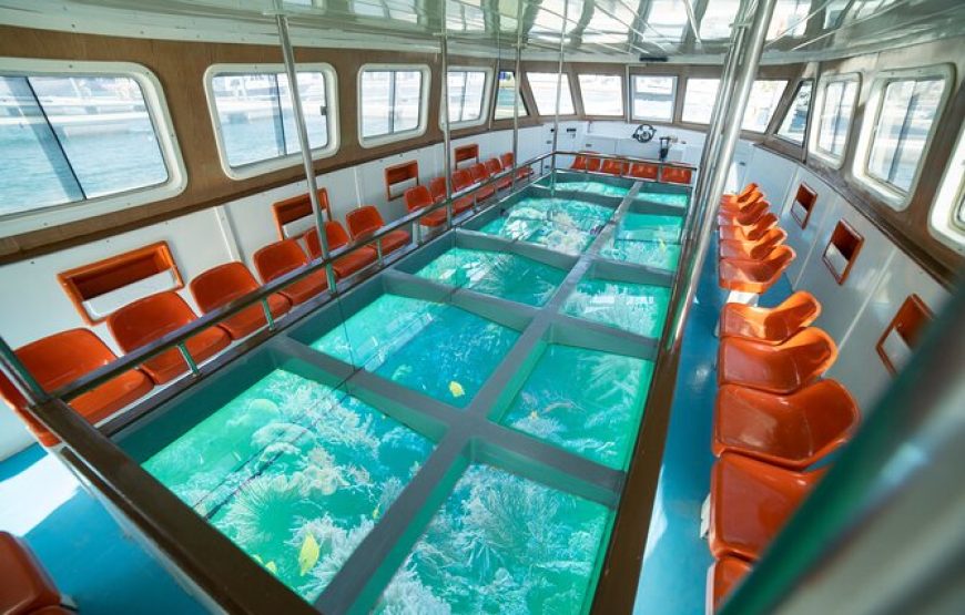 Glass Bottom Boat Discovery