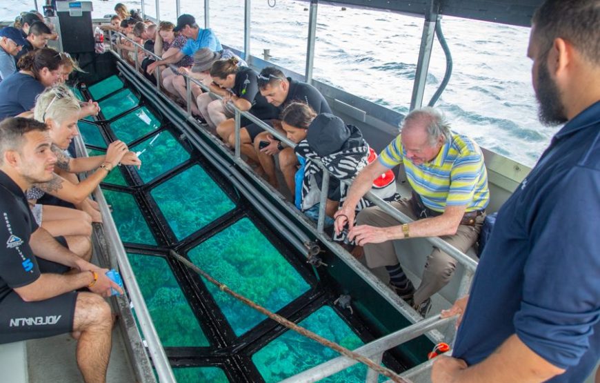 Glass Bottom Boat Discovery