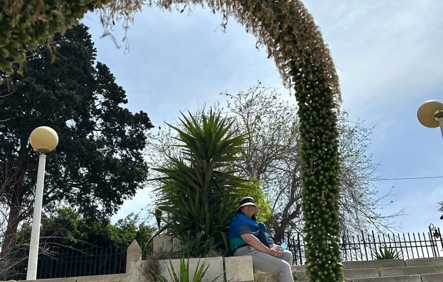 Awakening The Soul 12 Days Sacred Journey Through Egypt