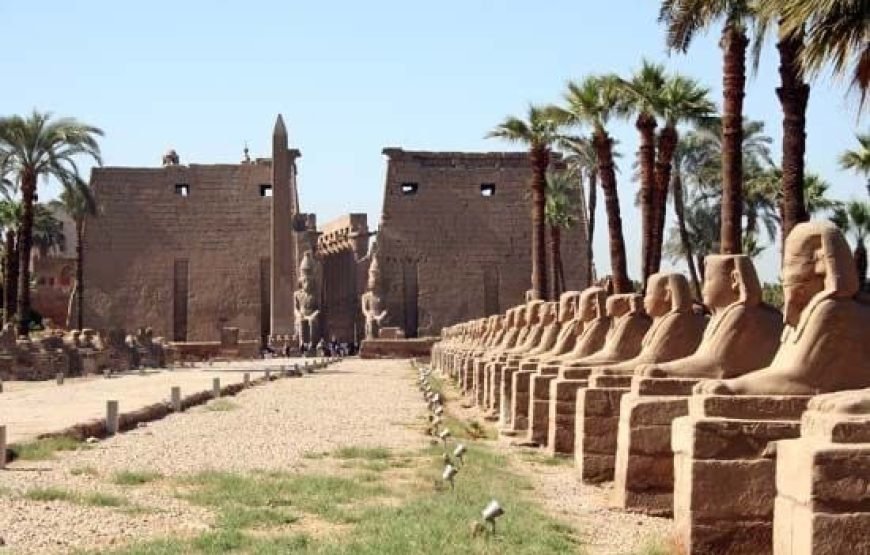 5 Days Cairo, Alexandria & Luxor Tour