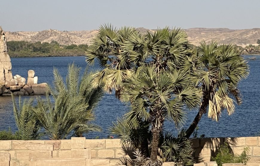 Awakening The Soul 12 Days Sacred Journey Through Egypt