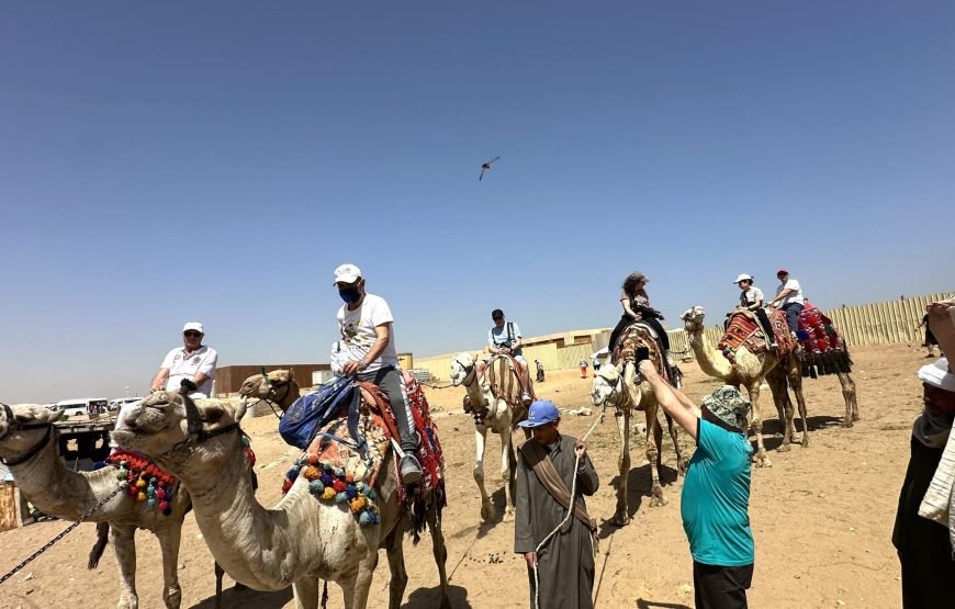 10 Days Egypt Explorer Cairo, Nile Cruise & Alexandria