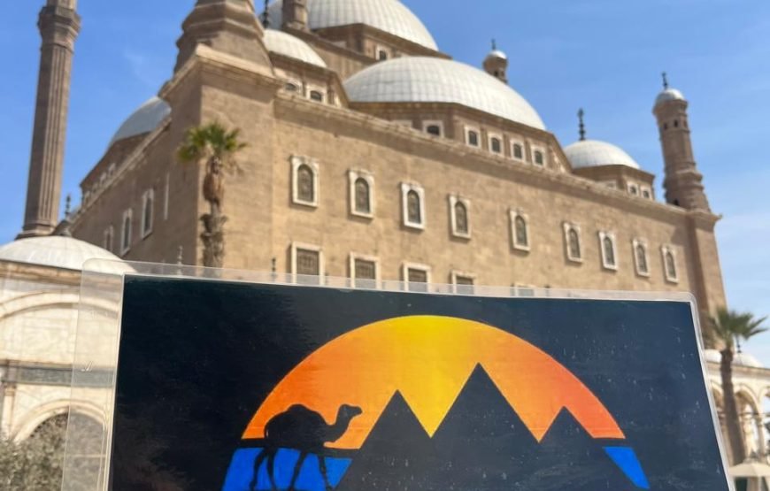 6 Days Luxury Cairo and Red Sea Serenity