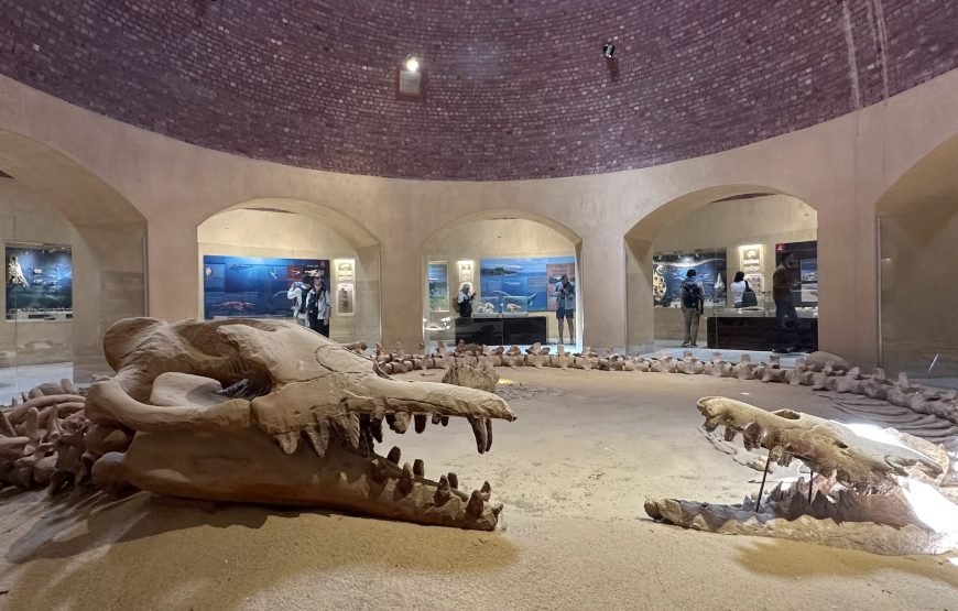 Oasis Odyssey  A Day Trip to El Fayoum From Cairo