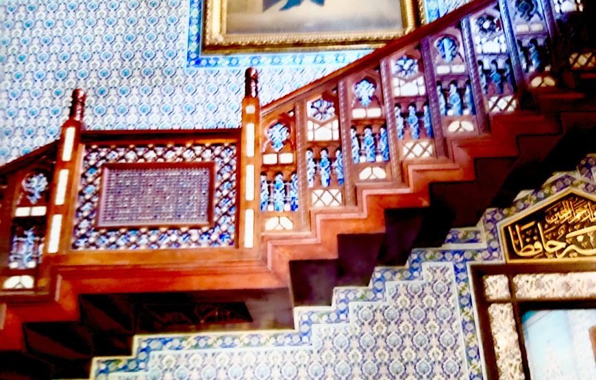 6 Days Luxury Cairo and Red Sea Serenity