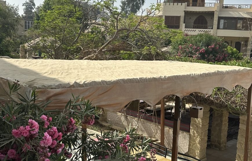 Oasis Odyssey  A Day Trip to El Fayoum From Cairo