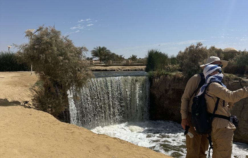 Oasis Odyssey  A Day Trip to El Fayoum From Cairo