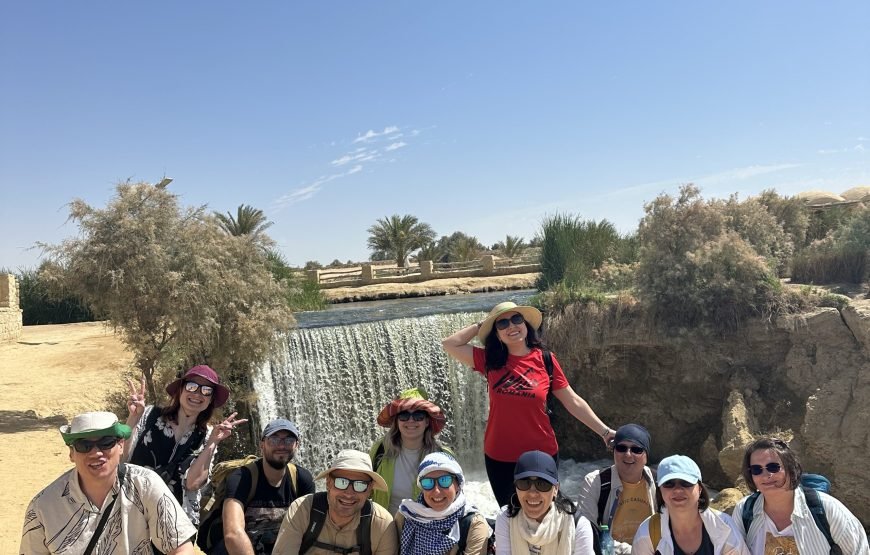 Oasis Odyssey  A Day Trip to El Fayoum From Cairo