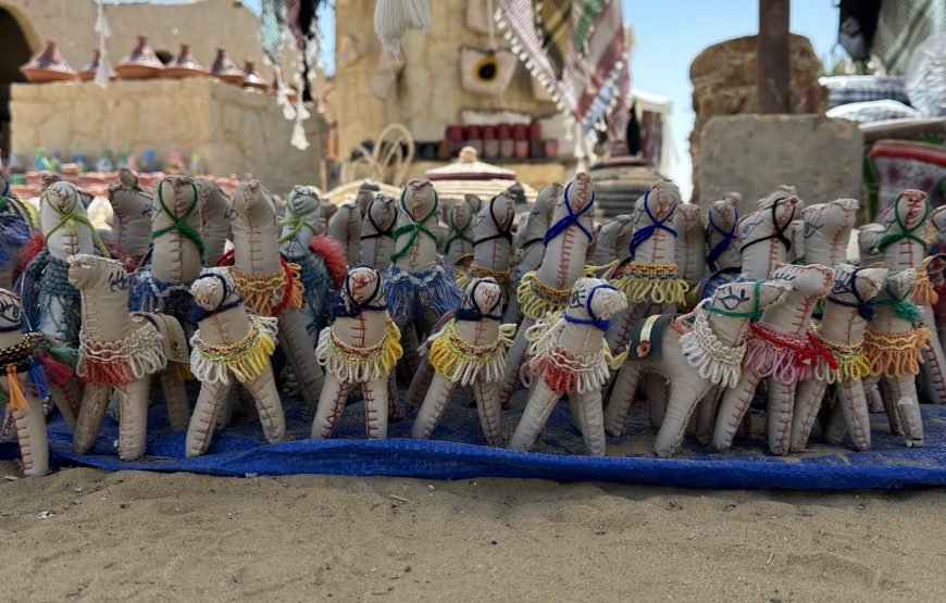 Oasis Odyssey  A Day Trip to El Fayoum From Cairo